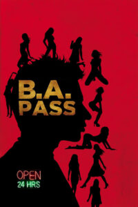 B.A. Pass (2012) Hindi HD