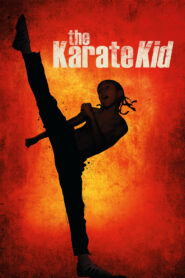 The Karate Kid (2010) Hindi Dubbed