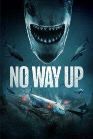 No Way Up (2024) Hindi Dubbed