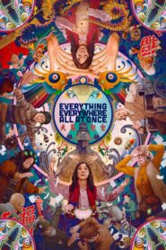 Everything Everywhere All at Once (2022) Hindi Dubbed