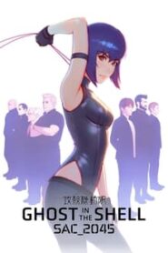 Ghost in the Shell SAC 2045 (2020) Season 1 Hindi Dubbed