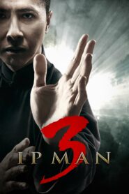 Ip Man 3 2015 Hindi Dubbed