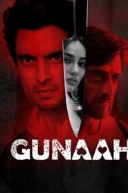 Gunaah (2024) Hindi Season 1 Complete