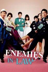 Enemies In-Law (2015) Hindi Dubbed