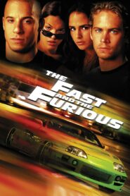 Fast and Furious 1 (2001) Hindi Dubbed